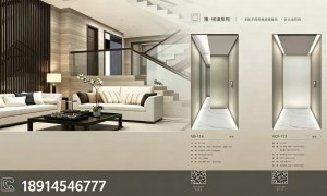 兴化自建房别墅电梯品牌企业推荐，华恪电梯价格公道不玩套路