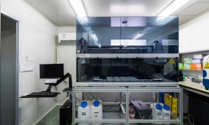 5-HTP专业生产厂家实力参考：河北维达康生物科技股份有限公司发展现状与市场占有率及排名研究分析报告