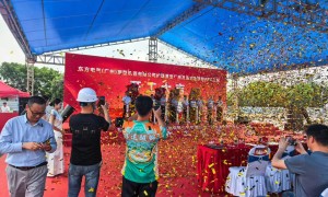 广东活动执行实力公司行业从业资质等级排 行与规模分析