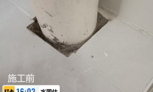 深圳南山靠谱免砸砖防水公司口碑哪家靠谱，服务商筛选指南