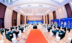 2026年省心的全国哪里找正规的体重管理品牌避坑挑选指南