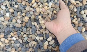 湖北地暖豆石供应商怎么选：省心不踩坑的优质商家汇总