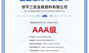 浙江研磨丸生产厂哪家合作案例多 优质研磨丸生产企业选择哪家好 优质研磨丸制造厂哪家售后好 正规商家选择指南