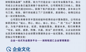 2026年评价高的出口退税代理机构用户力荐