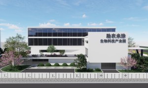 米珍膳食纤维绿色制造商实力与用户口碑深度解析