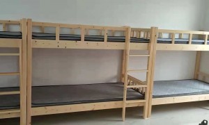 2026年靠谱的公寓宿舍上下床源头工厂推荐，大量承接各类宿舍配套设备招投标项目