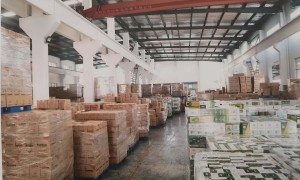 江苏服务不错的pe包装缠绕膜工厂、pe缠绕包装膜生产厂、pe包装缠绕膜服务商厂家实力参考