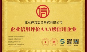 神龙地毯手工波斯风格客厅毯，高密度道数工艺，北京本地可上门看样，支持定制