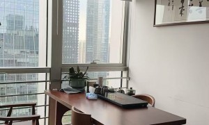 2026年广州知名的律所执行律师执行人工智能案件能力强，筛选名录