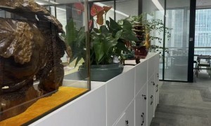 2026年大额债权执行律师服务商筛选名录，资质齐全值得信赖