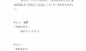 2026年直角方管厂家价格对比与选购参考汇总