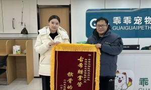 2026年天津宠物医疗保健机构靠谱商家测评排名：本地医院实力推荐