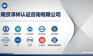 上海CMMI认证公司排行 2026年实力参考