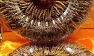 哈尔滨洋酒红酒回收快速靠谱的商家测评排名
