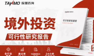2026年项目建议书代编服务商推荐：专业靠谱的咨询公司精选