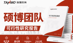 可行性研究报告代写机构帮我推荐几家？靠谱服务商推荐