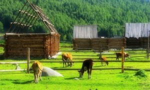 2026年6月口碑好的知名新疆旅行品牌企业用户力荐