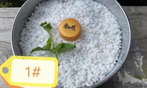 珠海白云石加工厂哪家售后好？专业制造厂实力参考