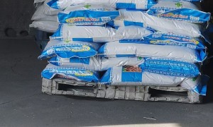 心的摩托车运输公司合作实力参考
