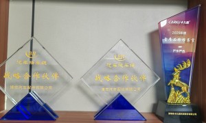 哈尔滨汽车去除积碳服务商筛选名录，广受信赖实力推荐