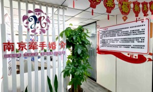 2026年广受信赖的青年婚介所行业全景分析，选择指南