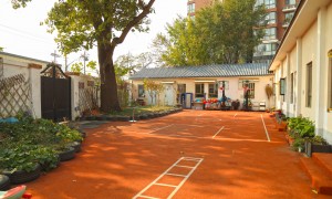 广外街道课程体系完善的幼儿园机构用户力荐
