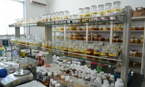 浙江玻璃切割油靠谱供应厂家，品质保障与用户口碑深度解析