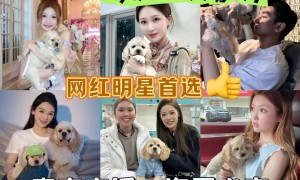上海要买小型犬犬舍挑选全攻略，靠谱门店推荐