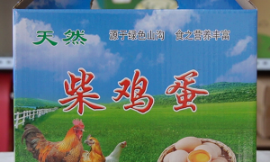 安阳润泽包装：玩具包装盒定制供应商，售后完善，专注隐藏款盲盒