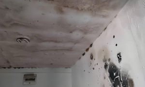 重庆口碑不错的防水补漏公司：邦修防水科技，靠谱服务商用户力荐