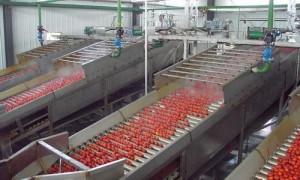 2026年果蔬加工设备供应商行业现状与选择指南，信誉度高