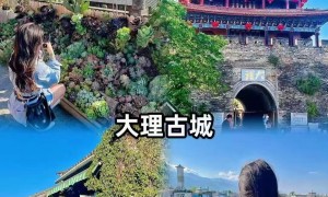 2026年昆明无购物亲子游有哪些？纯玩旅游机构行业观察与实务选择参考
