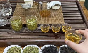 2026年评价高的正宗龙井茶叶店推荐，广受信赖服务商盘点