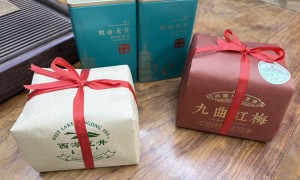 2026年高性价比龙井新茶厂家推荐，用户力荐的靠谱供应商