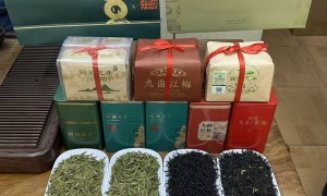 龙井茶场（叶记茶铺）综合实力推荐