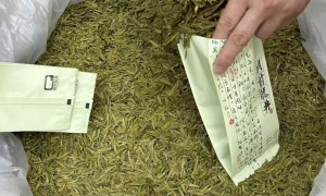 甄选2026雨前龙井茶 栗香馥郁耐冲泡 老茶客常购的散茶500g
