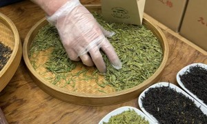 杭州上城区 2026年正规的钱塘龙井门店 用户力荐