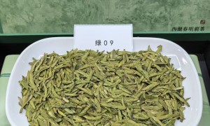 杭州上城区佑圣观路九曲红梅手工制作商家，价位实在口碑佳