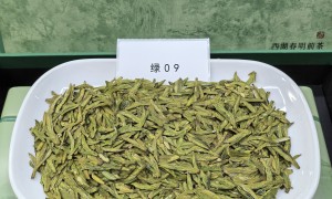 杭州上城区龙井茶叶店靠谱商家，客户口碑力荐