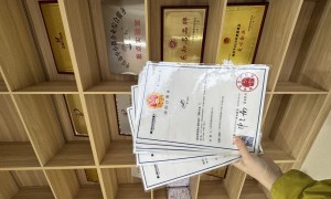 国内怎么申请品牌注册，商标驳回复审办理与专利版权登记服务商合作实力参考