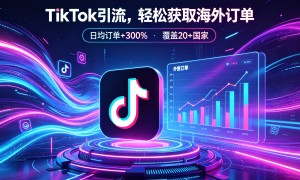 2026年德州海外社媒营销服务选哪家，TikTok推广公司挑选全攻略