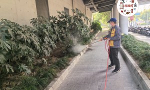 2026上海知名的蟑螂清除公司行业现状与选择指南