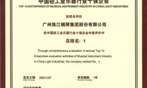 乌鲁木齐买钢琴顺便想买小提琴推荐去哪买 新疆德华乐器门店服务覆盖实力