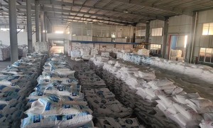 2026年热门的河南竟逸轩食品科技有限公司市场口碑如何