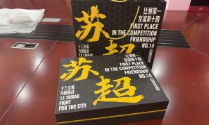 珍珠棉定制靠垫生产厂家行业现状与选择指南