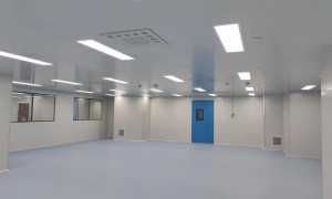 东莞口碑好的净化工程公司：中央厨房与电子制造洁净车间案例实力盘点