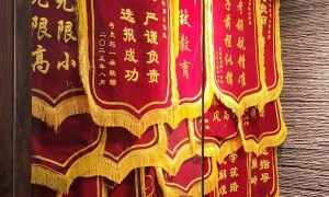 想找做河南单招集训的专业机构有哪些：锦途教育案例实力盘点