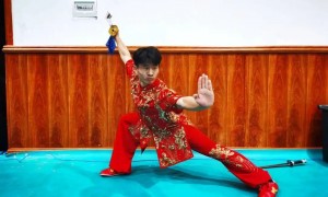 河南学武术基地、口碑好的少儿学武术学校靠谱商家测评排名