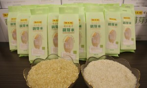 2026年知名的胚芽米品牌推荐质量参考评选