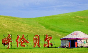 2026年靠谱的纯玩旅行社精品包车游服务商实力参考